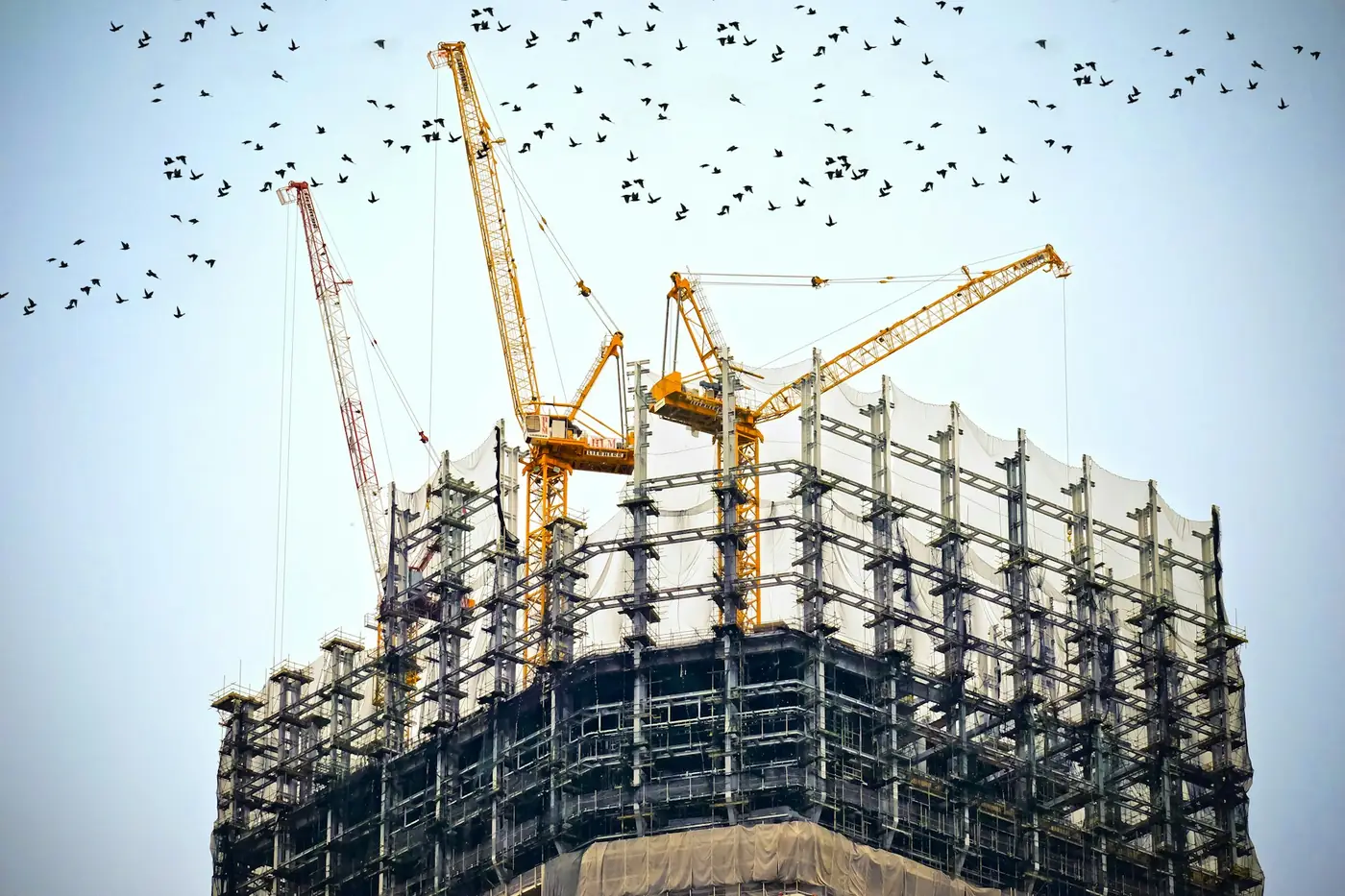 Tower cranes working above the steel frame of a building, the scale enterprise platforms are built for